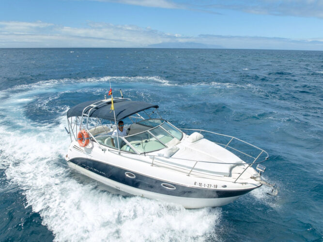 Моторная лодка Maxum 2700 SE Тенерифе 5