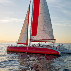 Ocean Voyager 64 Tenerifė