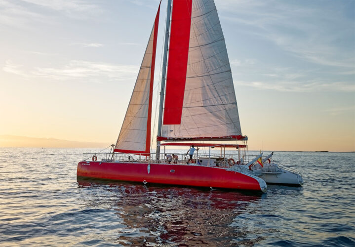 Ocean Voyager 64 Tenerifė