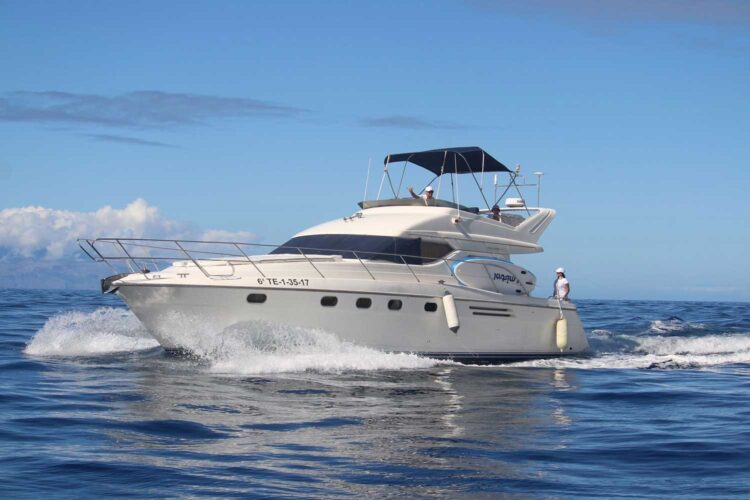 Yacht-Princess-470-Wilson-Tenerife-1