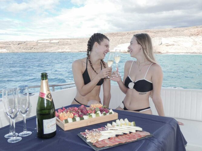 Yacht-Princess-470-Wilson-Tenerife-12