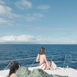 Yacht-Princess-470-Wilson-Tenerife-8