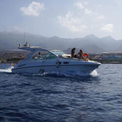 Yacht Sealine SC29 Teneriffa 1