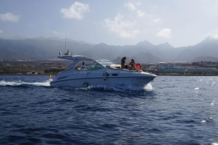 Yacht Sealine SC29 Teneriffa 1