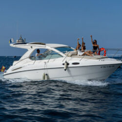 Yacht Sealine SC29 Tenerife 11