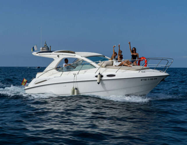 Yacht Sealine SC29 Tenerife 11