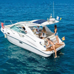 Yacht Sealine SC29 Tenerife 12