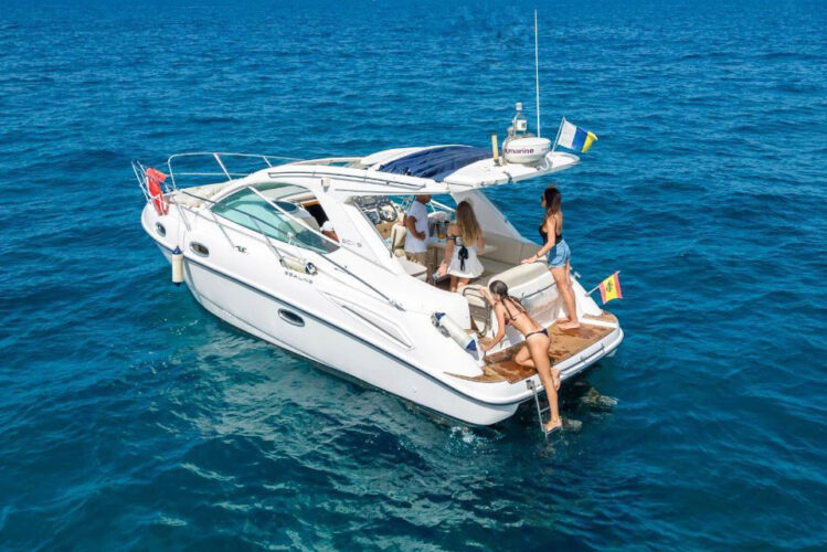 Yacht Sealine SC29 Tenerife 12