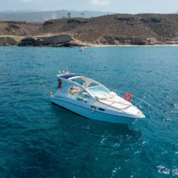 Yacht Sealine SC29 Tenerife 4