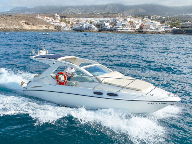 Yacht Sealine SC29 Tenerife 5