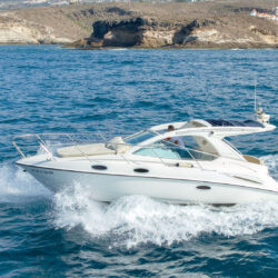 Yacht Sealine SC29 Tenerife 8