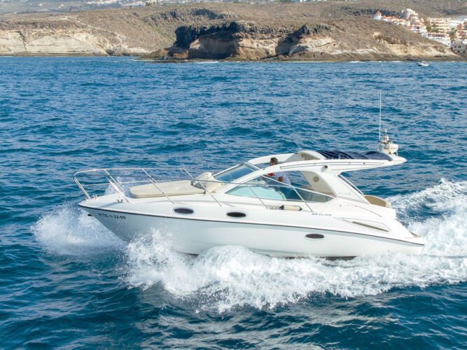 Yacht Sealine SC29 Tenerife 8