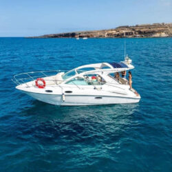 Yacht Sealine SC29 Tenerife 9