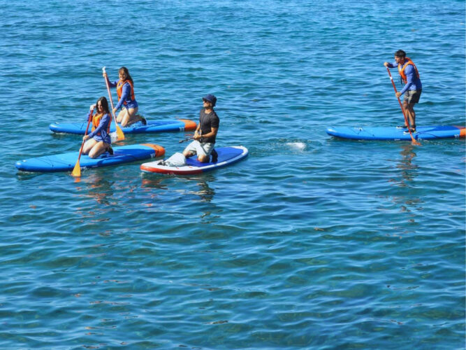 Paddle surfing Teneryfa 3