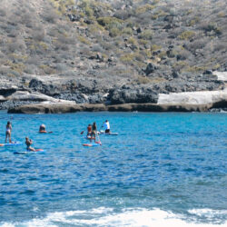 Paddle surfing Teneryfa 5