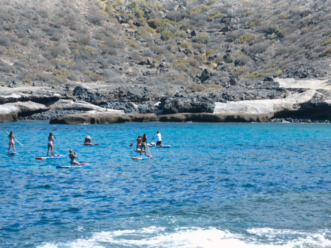Paddle surfing Teneryfa 5