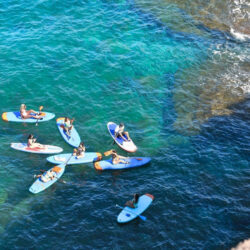 Paddle surfing Teneryfa 8