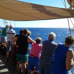 Piterio Peno piratų valtis Tenerifė 4