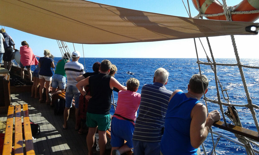 Piterio Peno piratų valtis Tenerifė 4