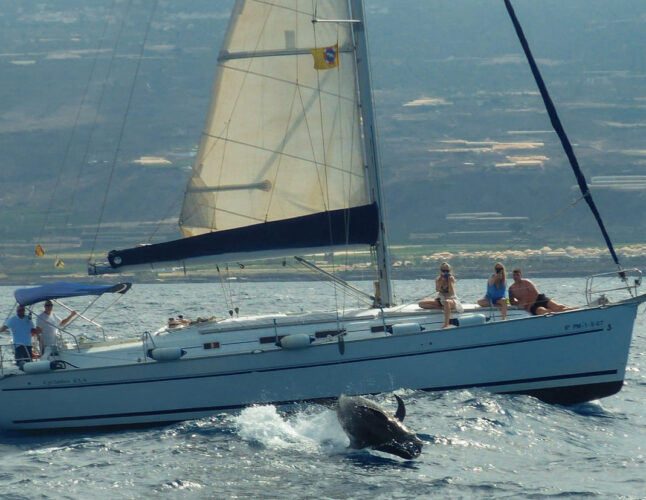 Beneteau Киклады 43.4 Сангрия Лос Гиганте 33