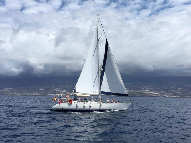 Ledi Elsie Tenerifė 5