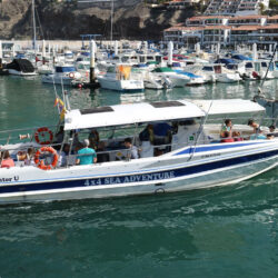Моторная лодка Gladiator U Tenerife 1