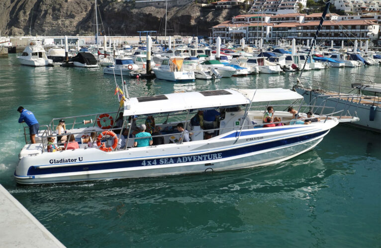 Моторная лодка Gladiator U Tenerife 1