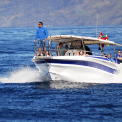 Моторная лодка Gladiator U Tenerife 2