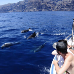 Моторная лодка Gladiator U Tenerife 5