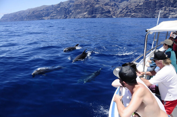Моторная лодка Gladiator U Tenerife 5
