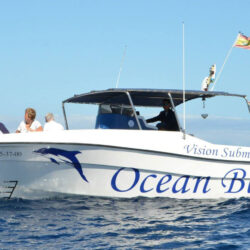 Моторная лодка Ocean Tenerife 10