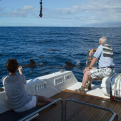Моторная лодка Ocean Tenerife 11