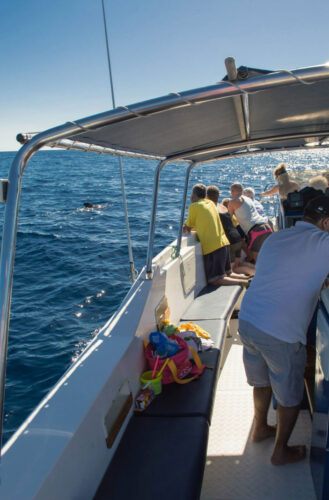 Моторная лодка Ocean Tenerife 12