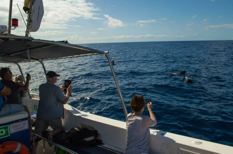 Моторная лодка Ocean Tenerife 14