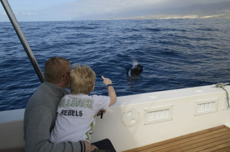 Моторная лодка Ocean Tenerife 15