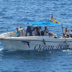 Моторная лодка Ocean Tenerife 17