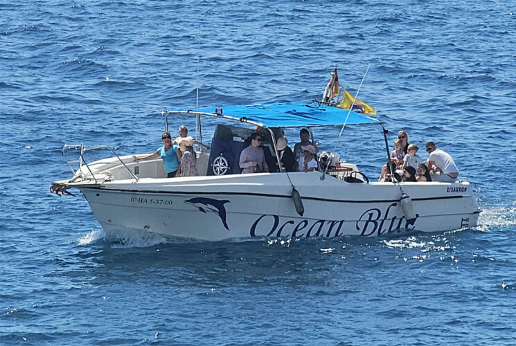 Motorboot Ocean Tenerife 17