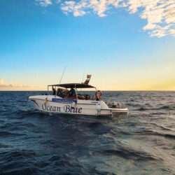 Моторная лодка Ocean Tenerife 2