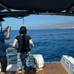 Моторная лодка Ocean Tenerife 9