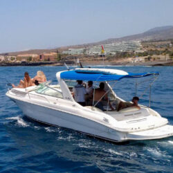yacht Piccola Iubi Tenerife 26