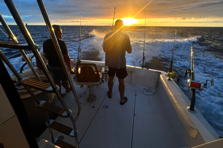Ferretti 34 Pêcheur Tenerife 5
