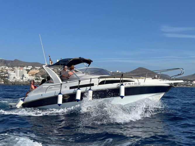 Motorboat Rio 850 Cruiser Tenerife 9