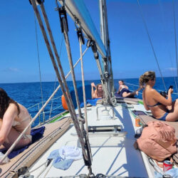 Sailboat Bavaria 49 Tenerife 12