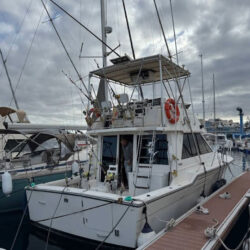 „Tiara Yachts 3600 Tenerifė 12“