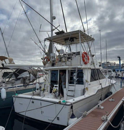 „Tiara Yachts 3600 Tenerifė 12“