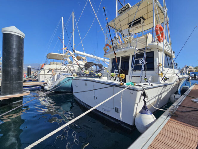 „Tiara Yachts 3600 Tenerifė 8“