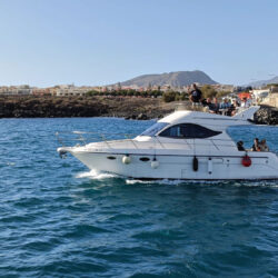 yacht Astinor 36 Tenerife 2