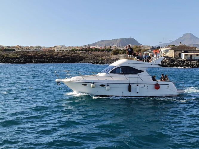 yacht Astinor 36 Tenerife 2