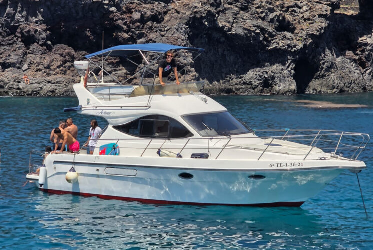 yacht Astinor 36 Tenerife 8