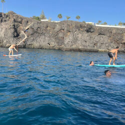 Motorboat Sunseeker 42 Mustique Tenerife 1